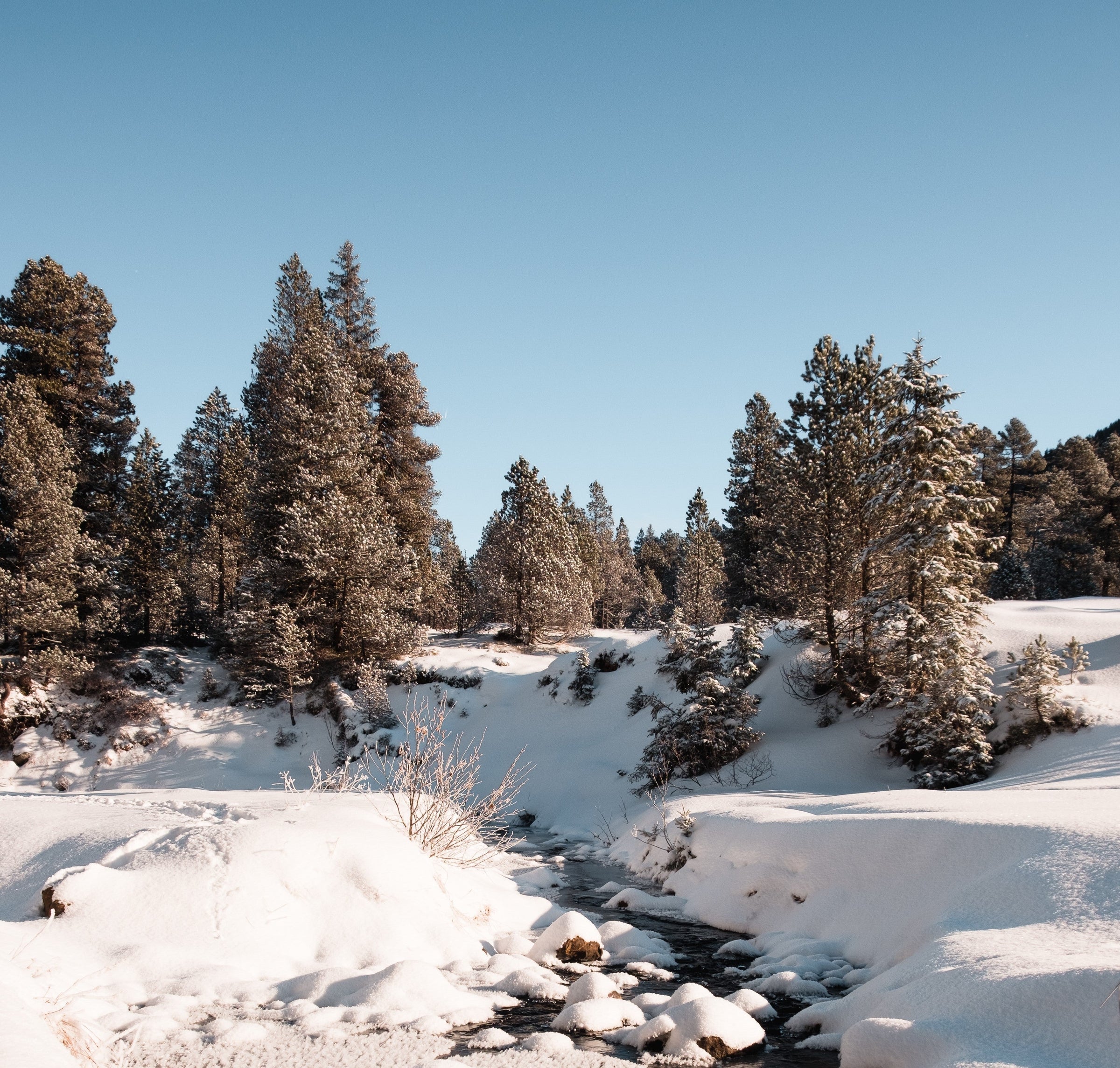 Trockene Haut im Winter – Ursachen & richtige Pflege – Talmea